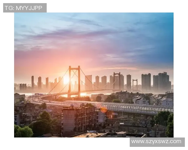 武汉排球队的奋斗历程与荣耀时刻全景纪实